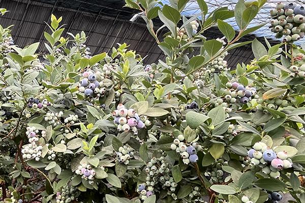 首页- 腾博官网诚信为本,专业服务!