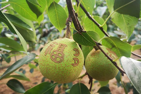 首页- 腾博官网诚信为本,专业服务!